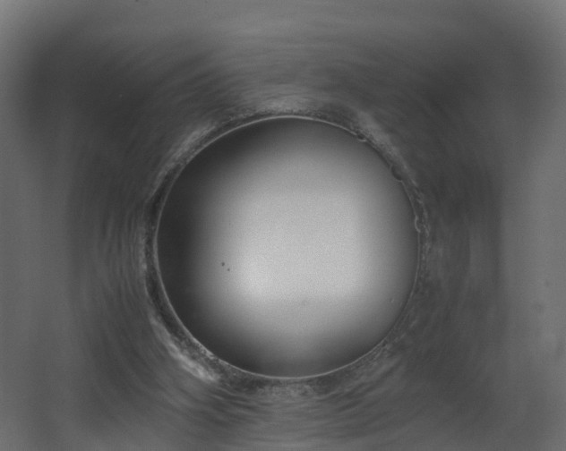 X0000067930106200604201506