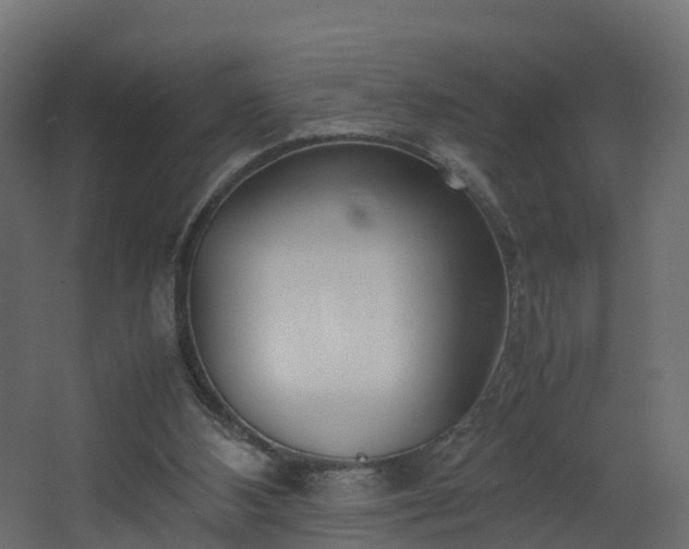 X0000067930108200604201506