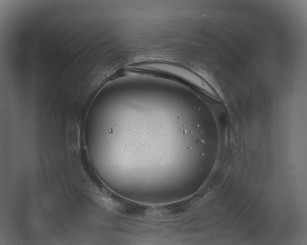 X0000067930109200604201506