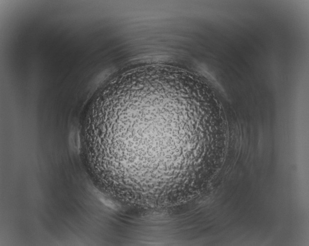 X0000067930110200604201506