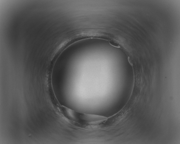 X0000067930111200604201506