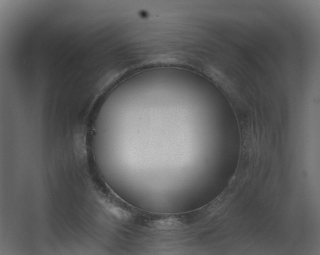 X0000067930112200604201506