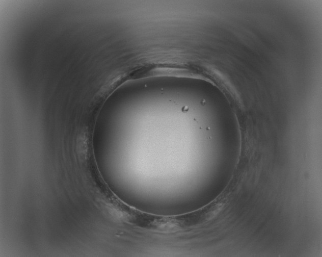 X0000067930113200604201506