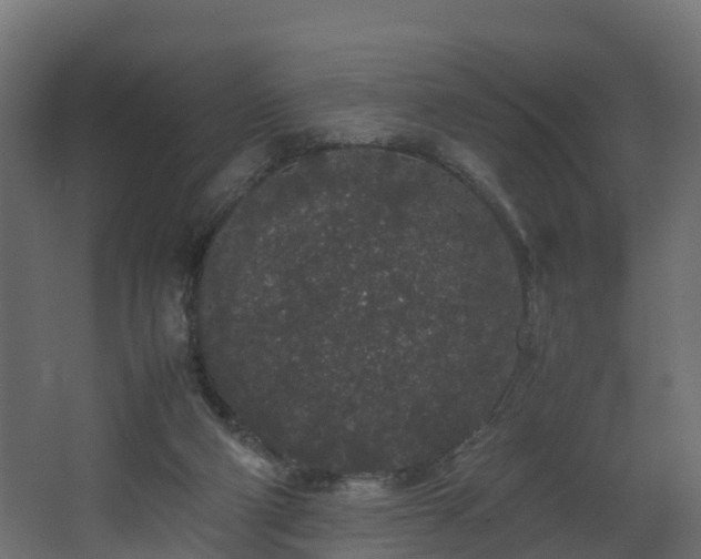 X0000067930114200604201506