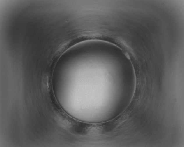 X0000067930115200604201506