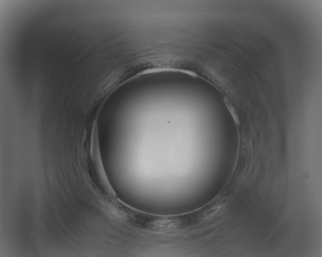 X0000067930117200604201506