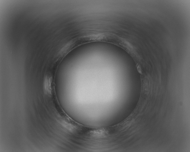 X0000067930118200604201506