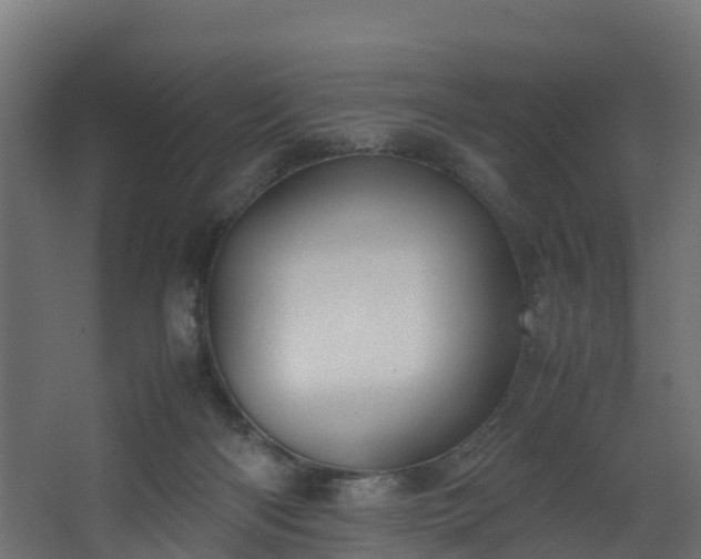 X0000067930122200604201506