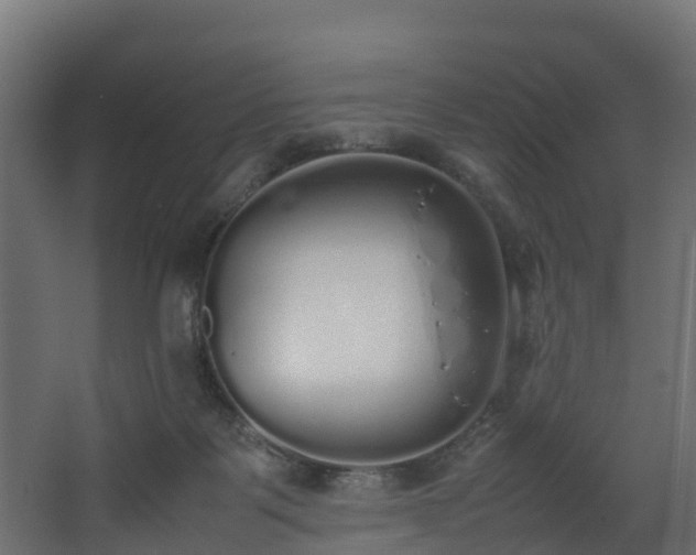 X0000067930123200604201506