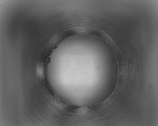 X0000067930124200604201506