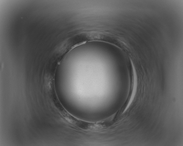 X0000067930125200604201506