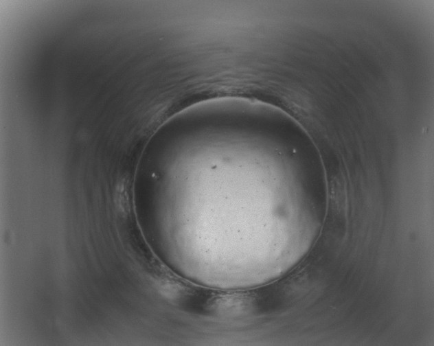 X0000067930127200604201506