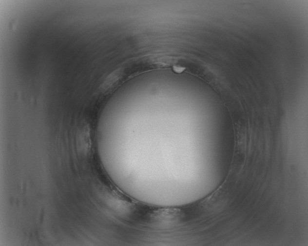 X0000067930128200604201506