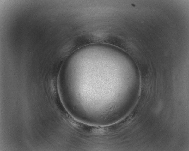 X0000067930131200604201506