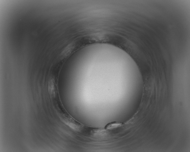 X0000067930132200604201506