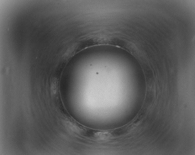 X0000067930133200604201506