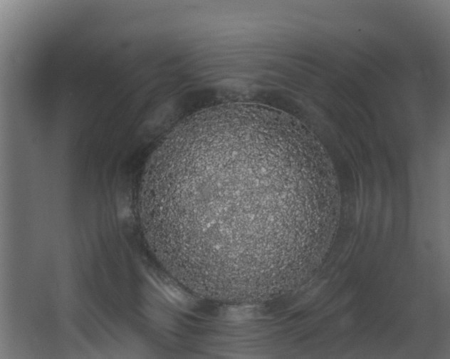 X0000067930134200604201506