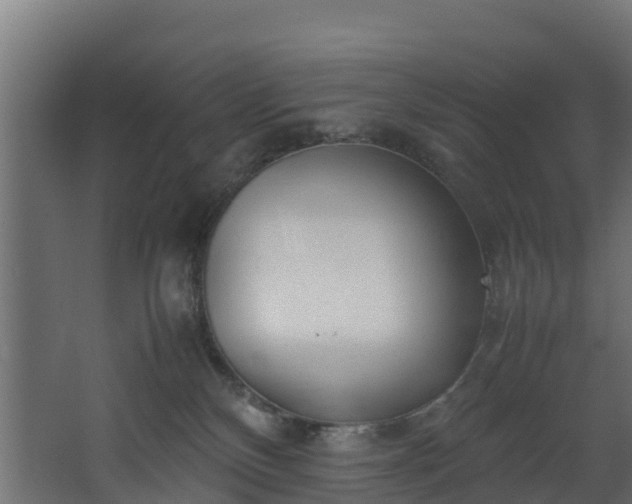 X0000067930136200604201506