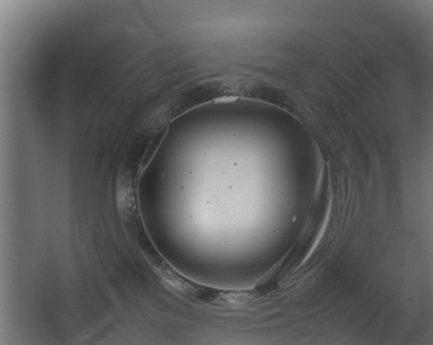 X0000067930137200604201506