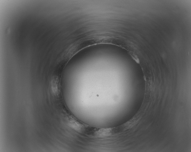 X0000067930138200604201506