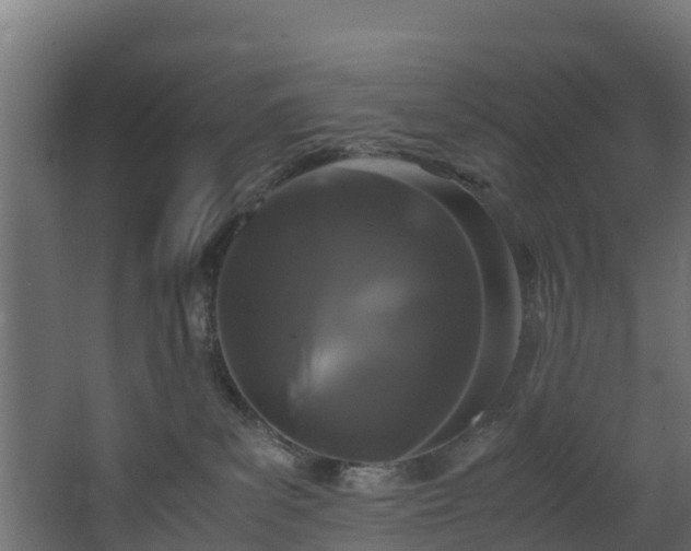 X0000067930139200604201506