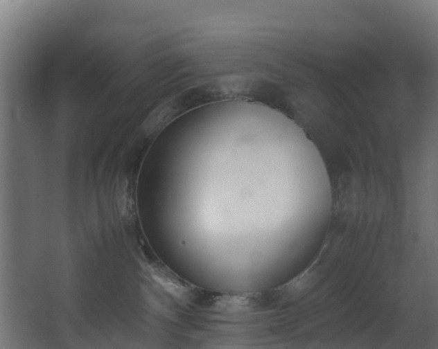 X0000067930140200604201506