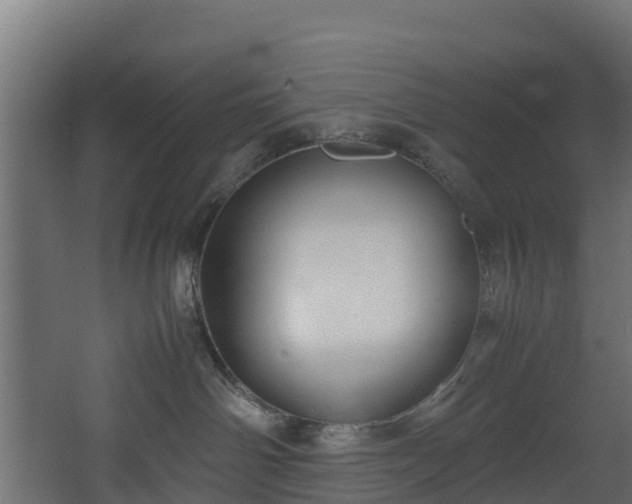 X0000067930142200604201506