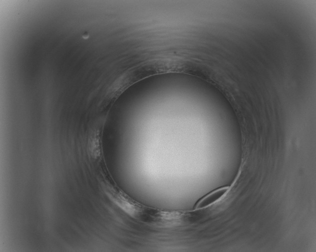 X0000067930144200604201506