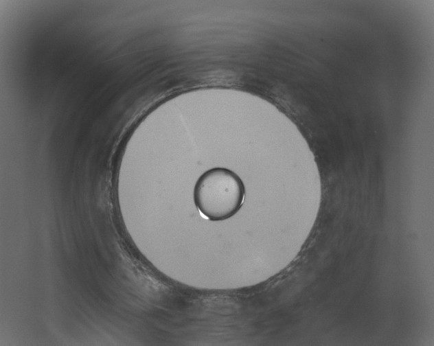 X0000067930146200604201505