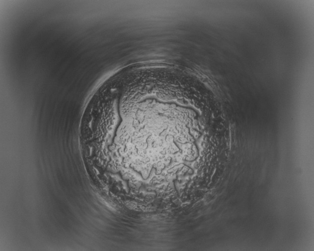 X0000067930147200604201505