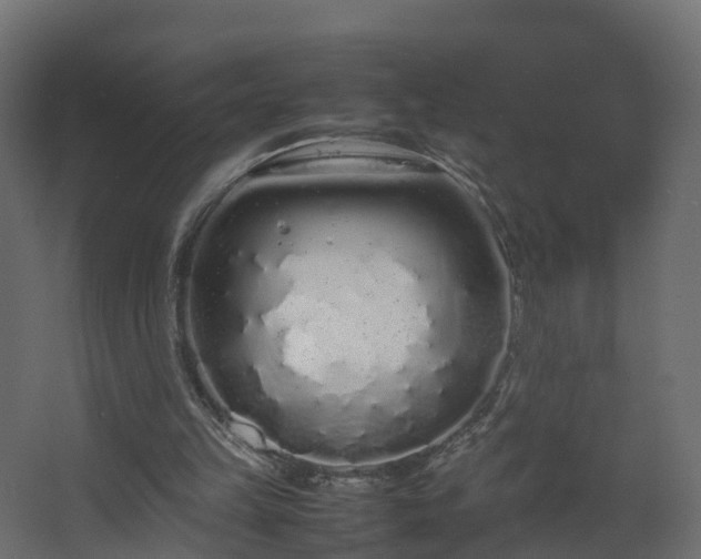 X0000067930149200604201505