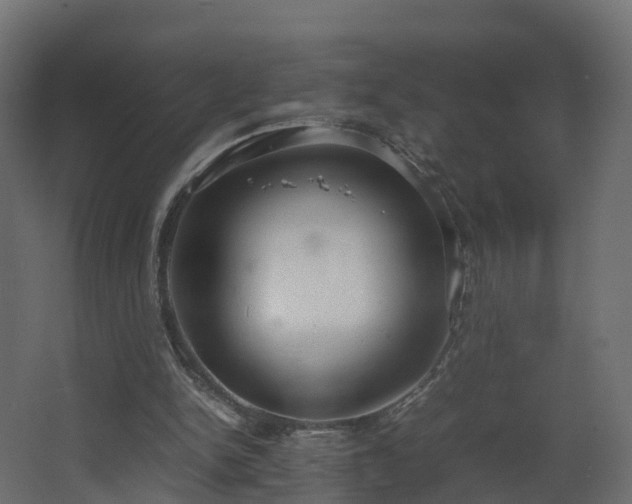 X0000067930150200604201505