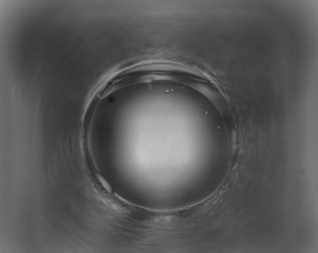 X0000067930152200604201505