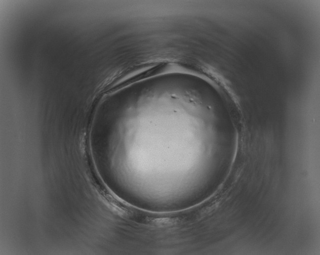 X0000067930153200604201505