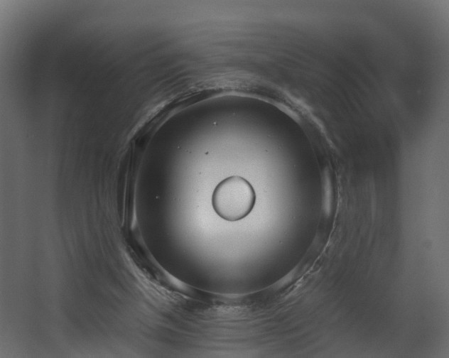 X0000067930154200604201505