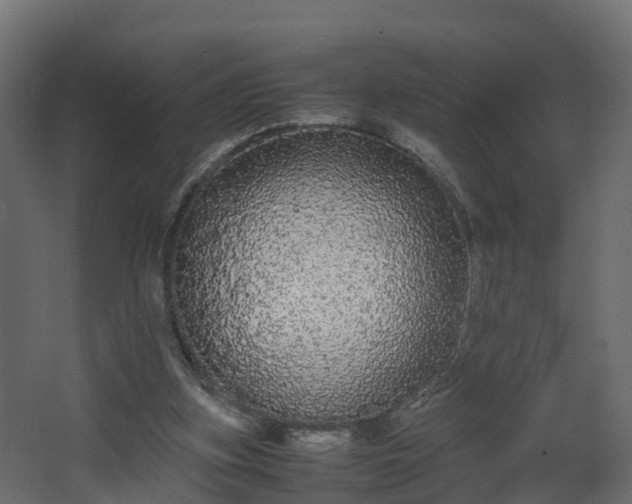 X0000067930155200604201505