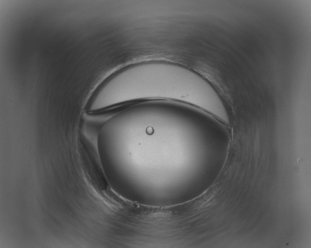 X0000067930156200604201505