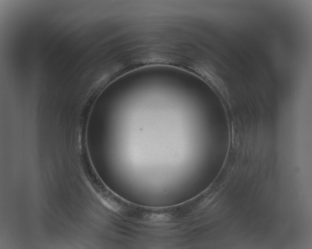 X0000067930157200604201505