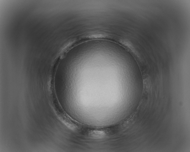 X0000067930159200604201505