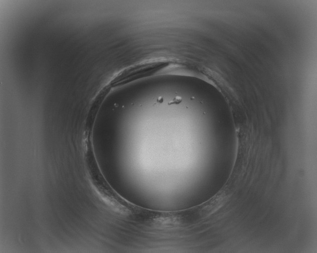 X0000067930160200604201505