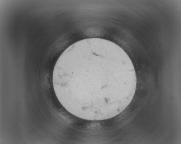 X0000067930162200604201505