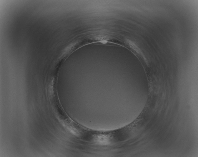 X0000067930163200604201505