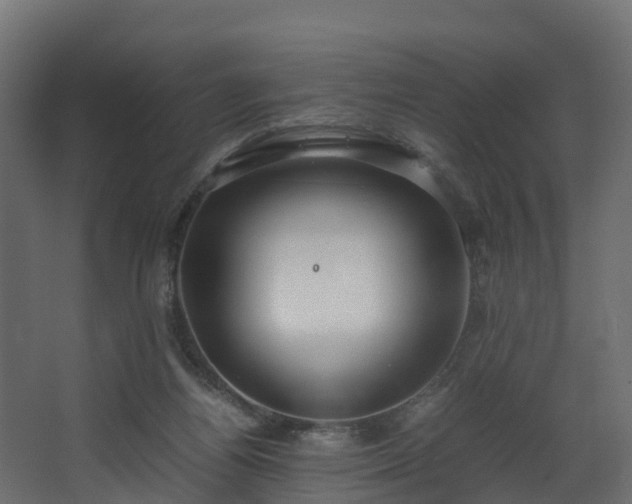 X0000067930164200604201505