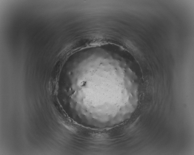 X0000067930165200604201505