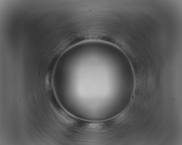 X0000067930166200604201505