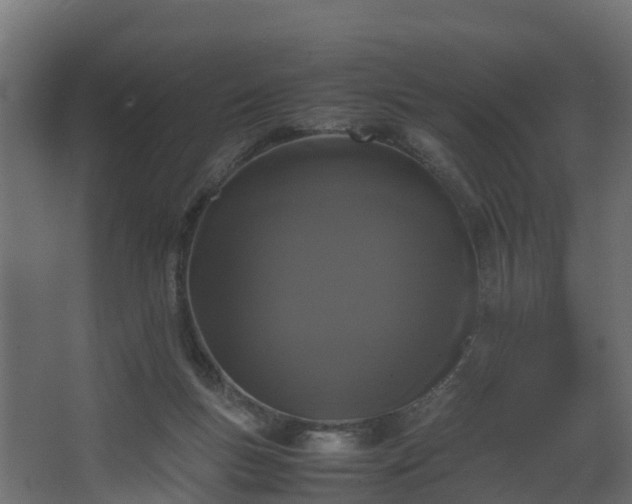 X0000067930167200604201505