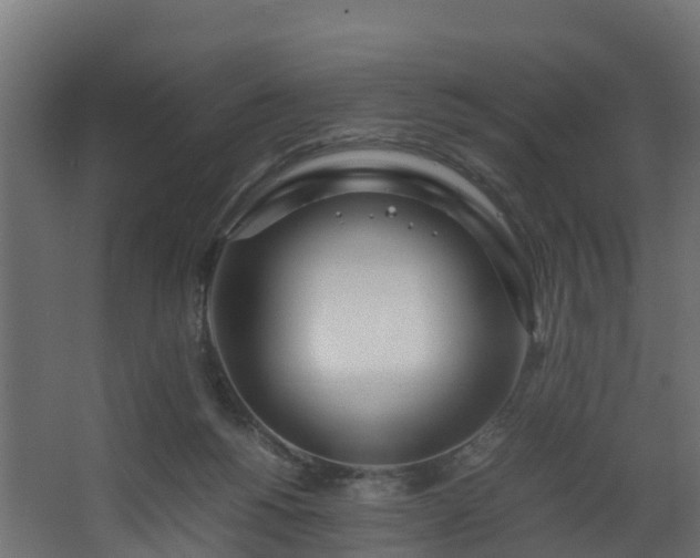 X0000067930168200604201505