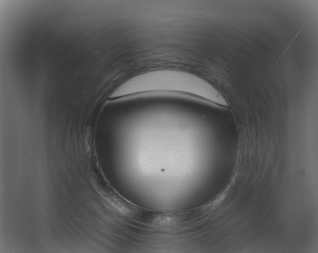 X0000067930174200604201505