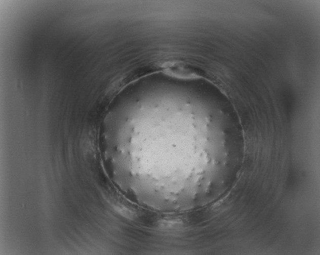 X0000067930175200604201505