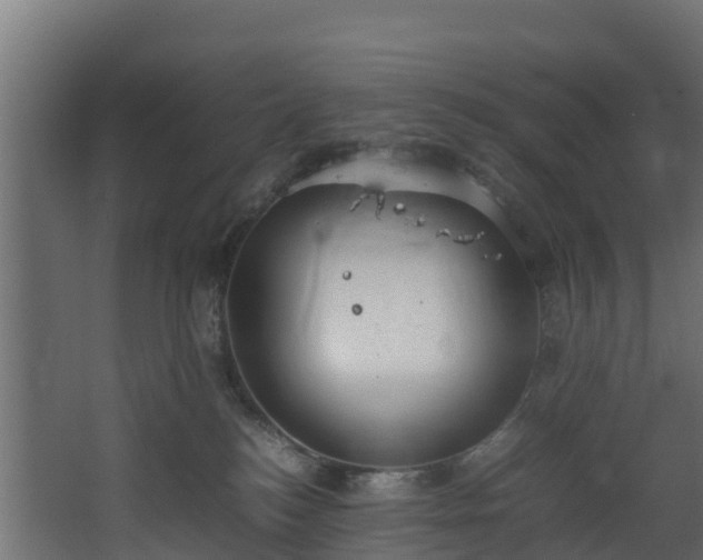 X0000067930184200604201506